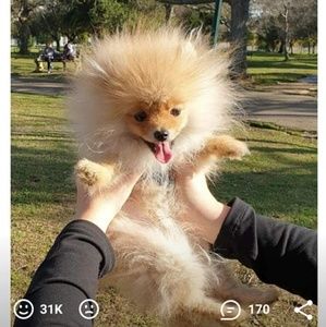 Meet your Posher, Richard